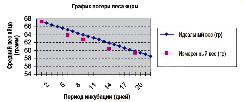 ПРАВИЛЬНАЯ ВЛАЖНОСТЬ И ВЕНТИЛЯЦИЯ для инкубации